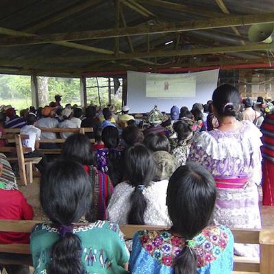 01 Muestra Com 31 Mayo